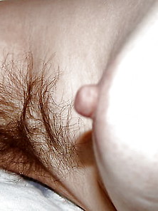 Hairy Mature