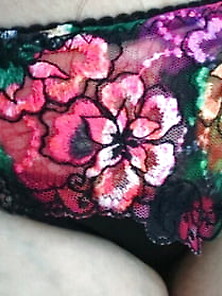 My Panties 2