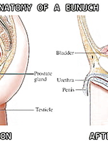 Crastau-Castration