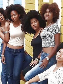 Black Beauties Vol. 204