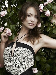 Olivia Wilde Hot Pics On Haunted Celebs. Com