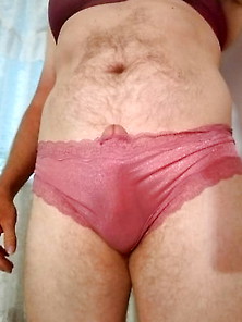 Sheer Silkie Panties