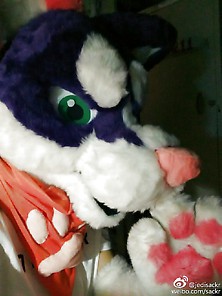 My Fursuit