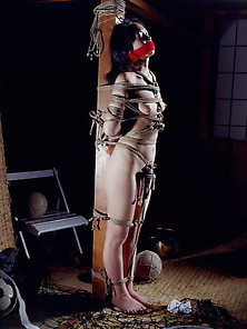 Japanese Pole Bondage