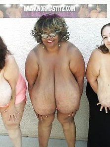 Wonder Monique Norma Stitz And Suzie Q