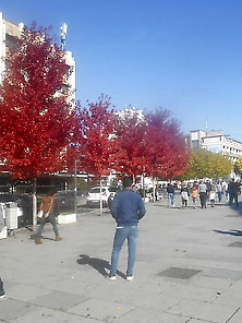 Prishtina,  Kosovo - 16 October,  2017