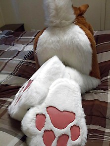 Fursuit Butts & Paws