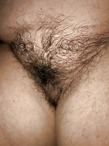 My Bbw Hairy Friend