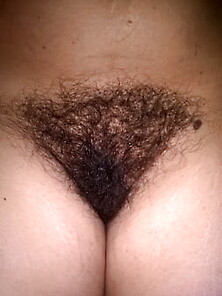 Hairy Joytwosex Big Bush