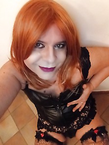 Stefy Trans Italiana