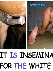 Oiled up shemale jerks and cums her dick for the cameras