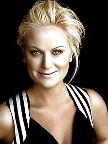 The Incredible Amy Poehler