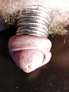 11 Cock Rings 1. 5 Inch Diameter