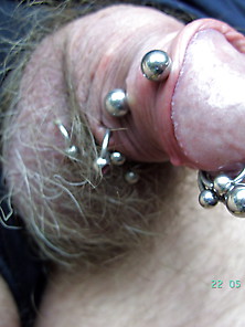 My Pierced Cock