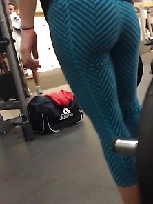 Gym Hotties 2