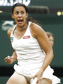 Marion Bartoli (Wooly Upskirt)