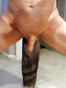 Tail Anal Plug