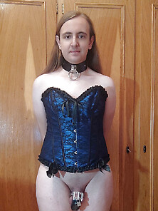 Sissy Kitty Trans